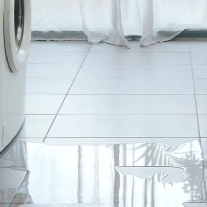 Appliance Leak Cleanup in Greene County, GA